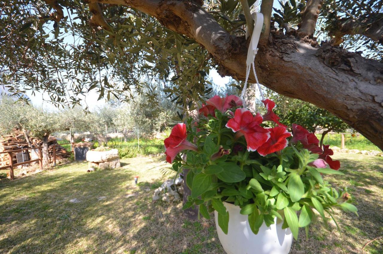 Bed and Breakfast Cascina Degli Ulivi à Castelluzzo Extérieur photo